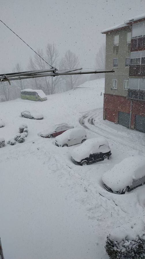 Fotos: Temporal de nieve en Guardo