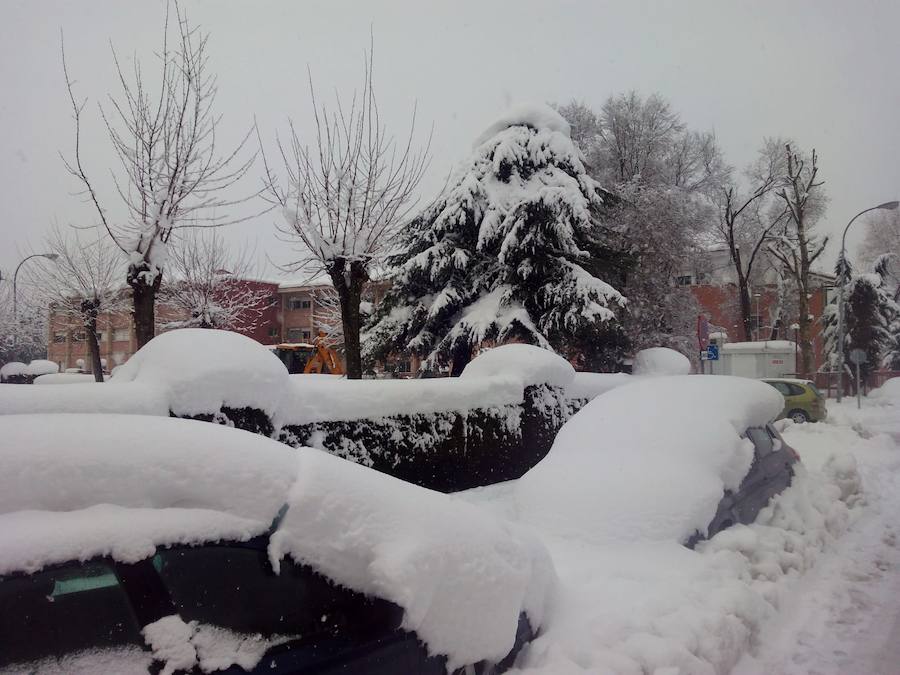Fotos: Temporal de nieve en Guardo