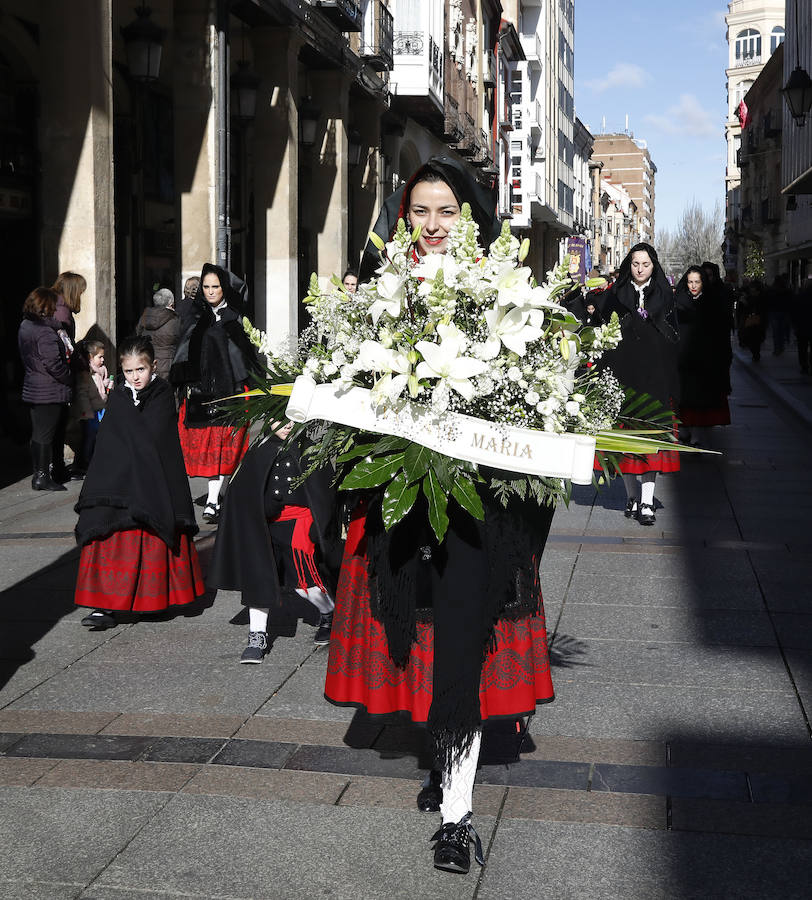 Fotos: Festividad de la Virgen de la Calle