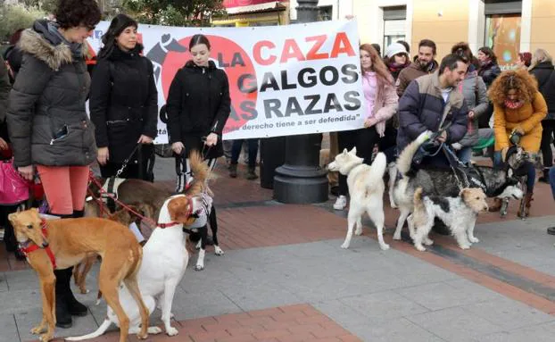 Manifestación de esta mañana en Valladolid.