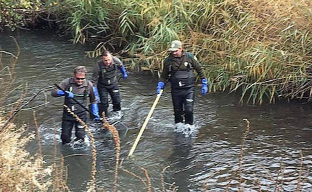 Agentes medioambientales, en el río Riaza. 