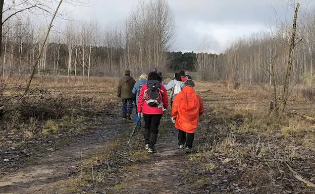 Un grupo de peregrinos, por el Camino a su paso por Segovia.