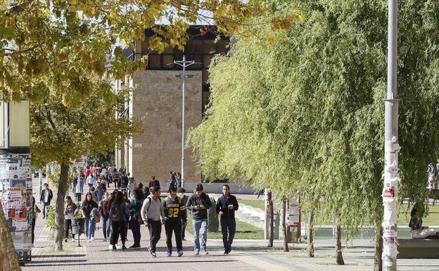 Estudiantes universitarios pasean e intercambian impresiones en el Campus Miguel de Unamuno de la ciudad de Salamanca.