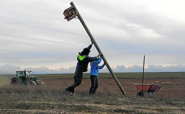 Dos miembros de la ONG Grefa colocan una de las 435 cajas nido que se han instalado en la provincia para controlar la población de topillos. 