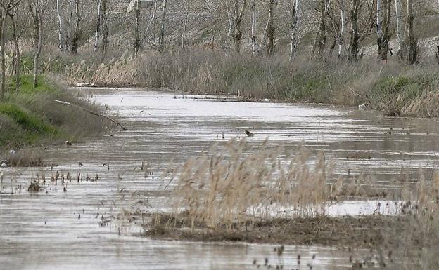 El Zapardiel recupera su cauce en un tramo de cuatro kilómetros entre Lomoviejo y Tordesillas