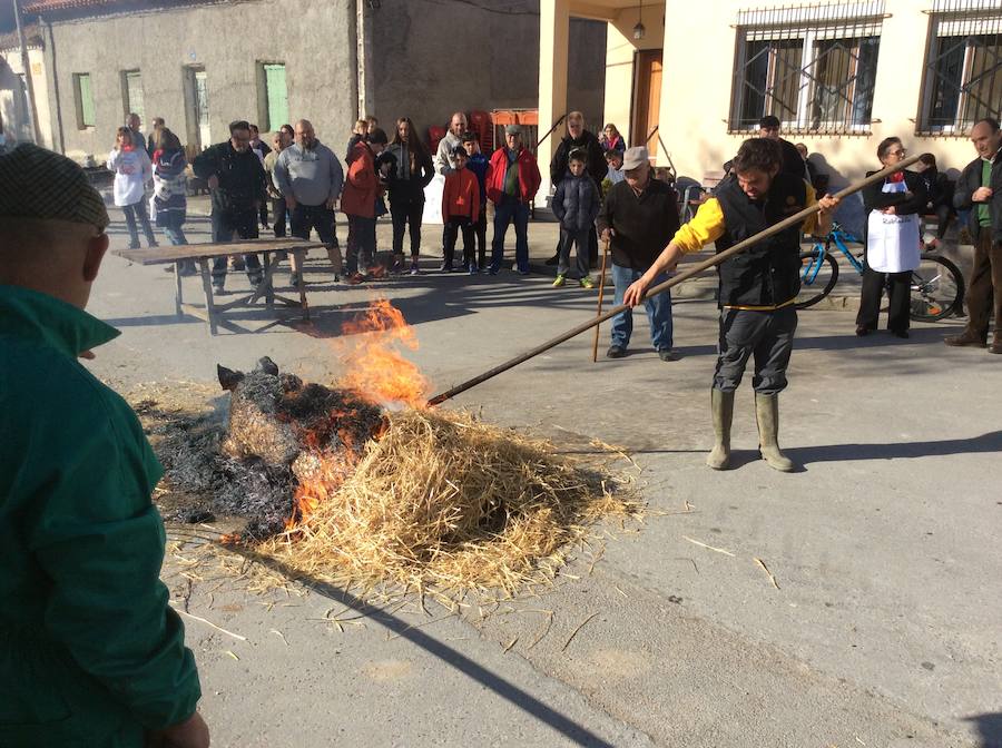 Fotos: Robladillo celebra su tradicional matanza