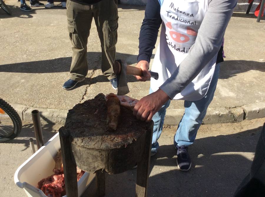 Fotos: Robladillo celebra su tradicional matanza