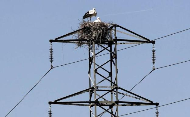 Red Eléctrica descarta que su plan de invertir 3.200 millones impacte en la factura de la luz