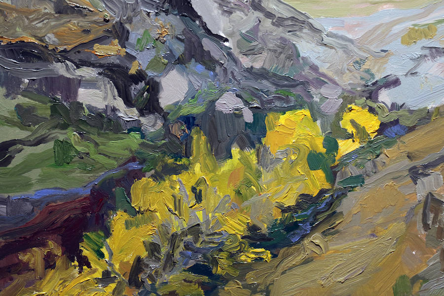 Fotos: Exposición &#039;Luz y color&#039; en la Galería de Arte Rafael de Valladolid