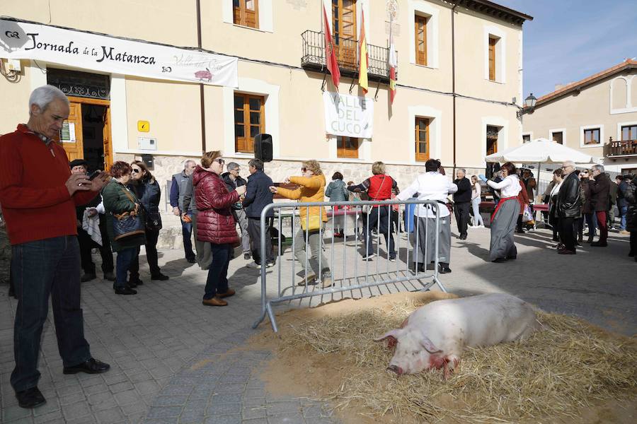Fotos: XI Jornada de y Vino de la Ribera de Duero en el Valle del Cuco