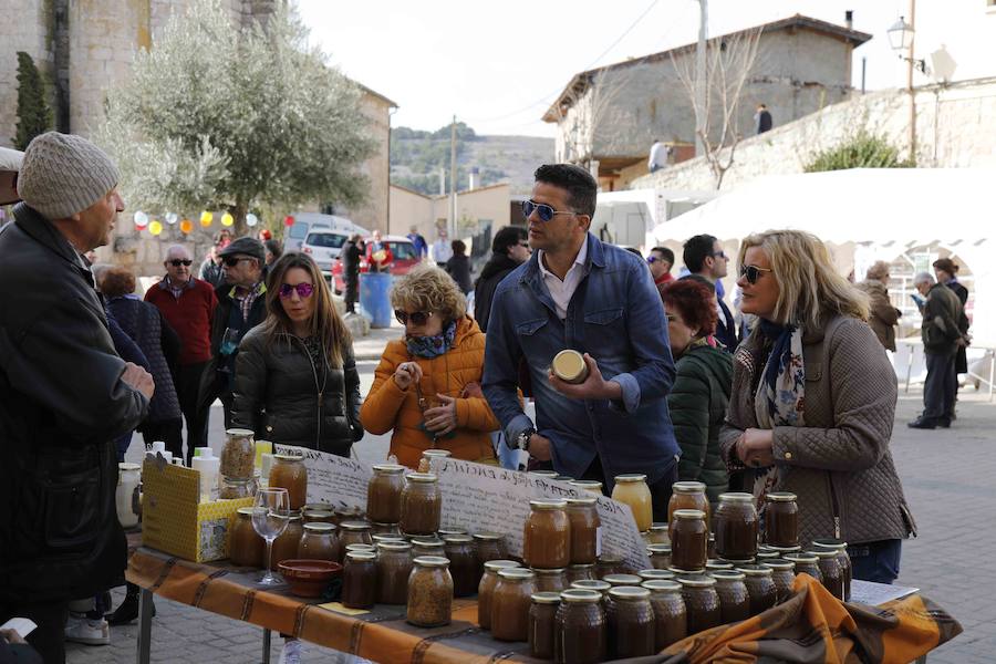 Fotos: XI Jornada de y Vino de la Ribera de Duero en el Valle del Cuco