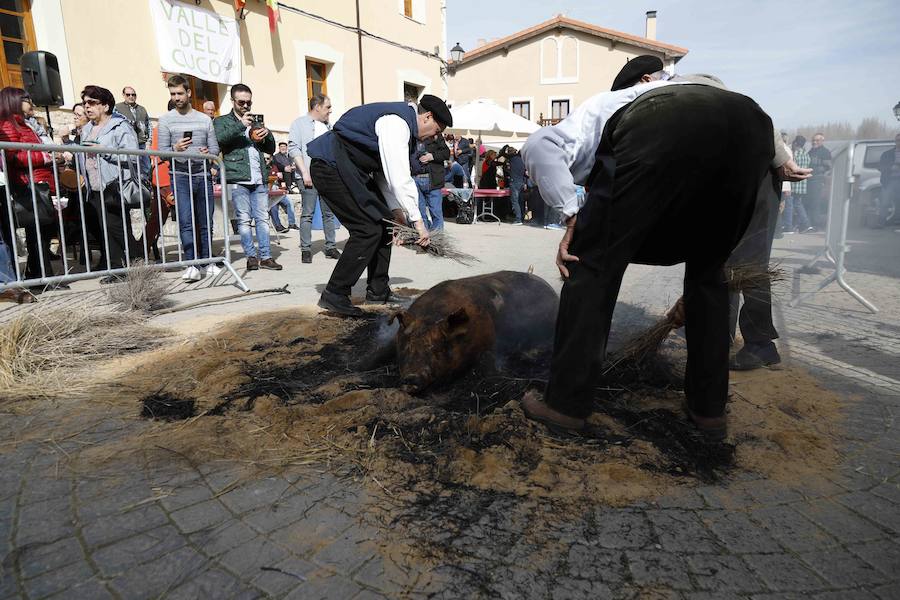 Fotos: XI Jornada de y Vino de la Ribera de Duero en el Valle del Cuco