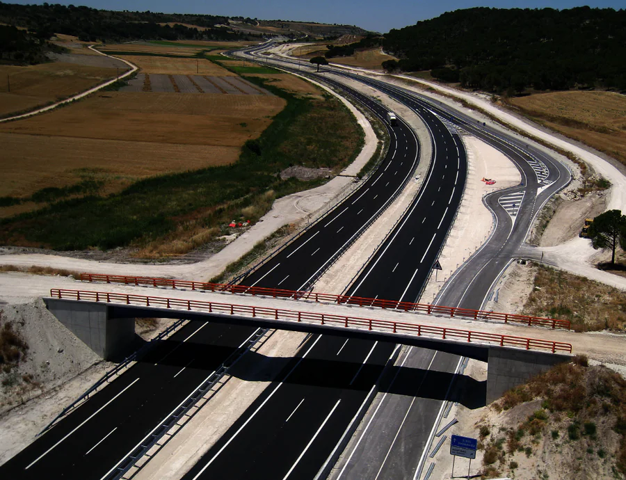 Un movimiento ciudadano en Santiago del Arroyo llevó a la Junta de Castilla y León a dictar una Declaración de Impacto Ambiental para evitar su tala e incluir al Pino Gordo en el trazado de la Autovía de Pinares.