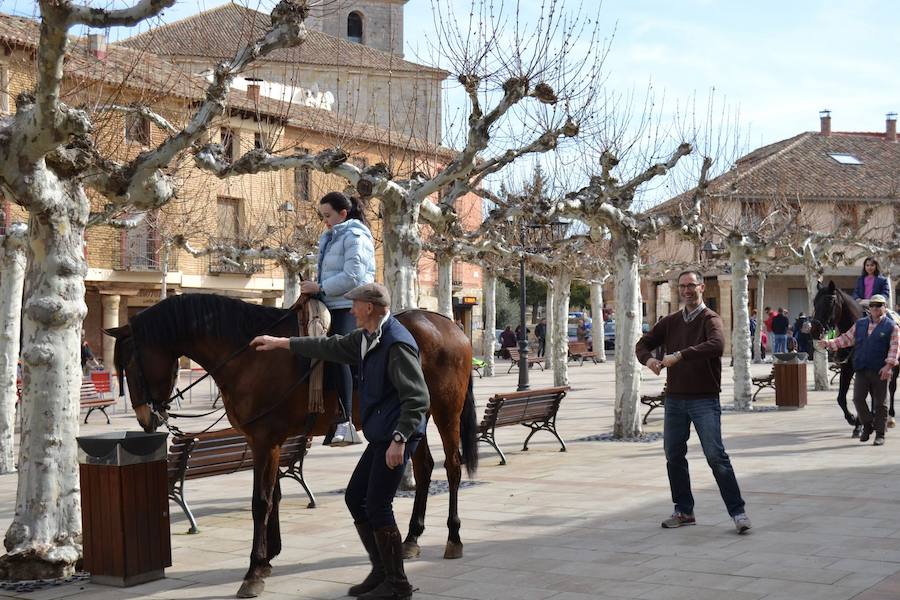 Fotos: Astudillo festeja a San Matías