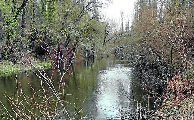 El Cega, a su paso por Cuéllar. 