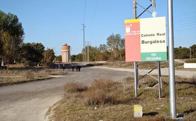 La Cañada Real Burgalesa pronto será una nueva carretera. L.J. MARTIN