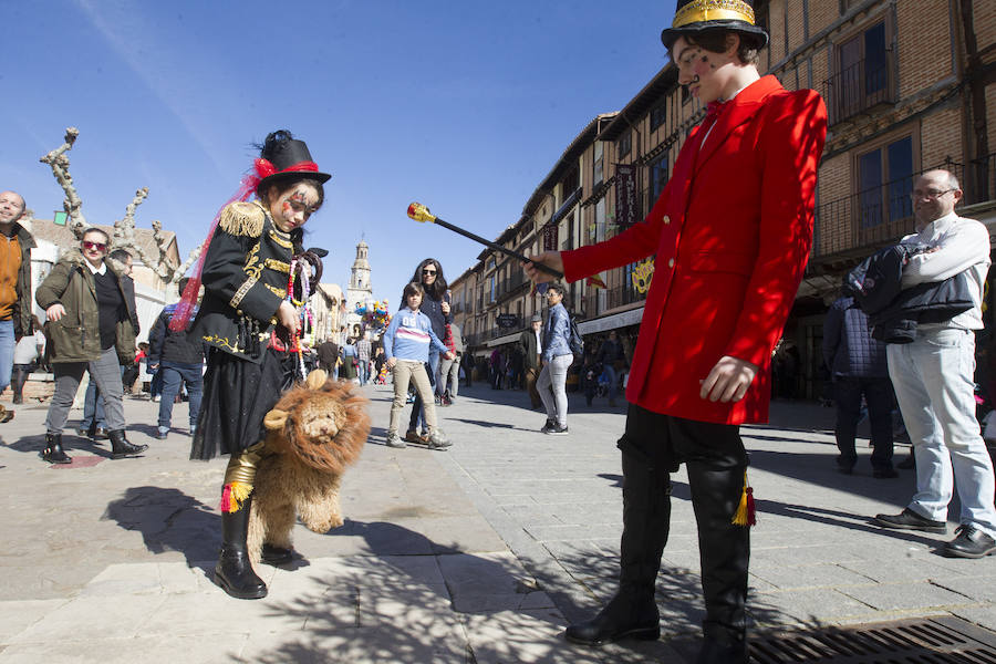Fotos: Concurso de disfraces de mascotas en el Carnaval de Toro