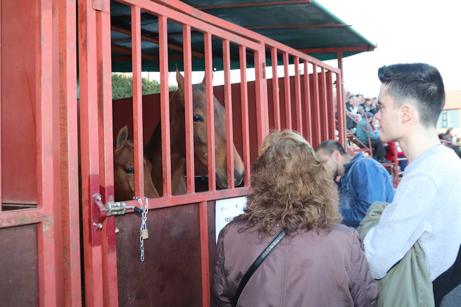 Fotos: Feria de El Ángel en Fuentepelayo