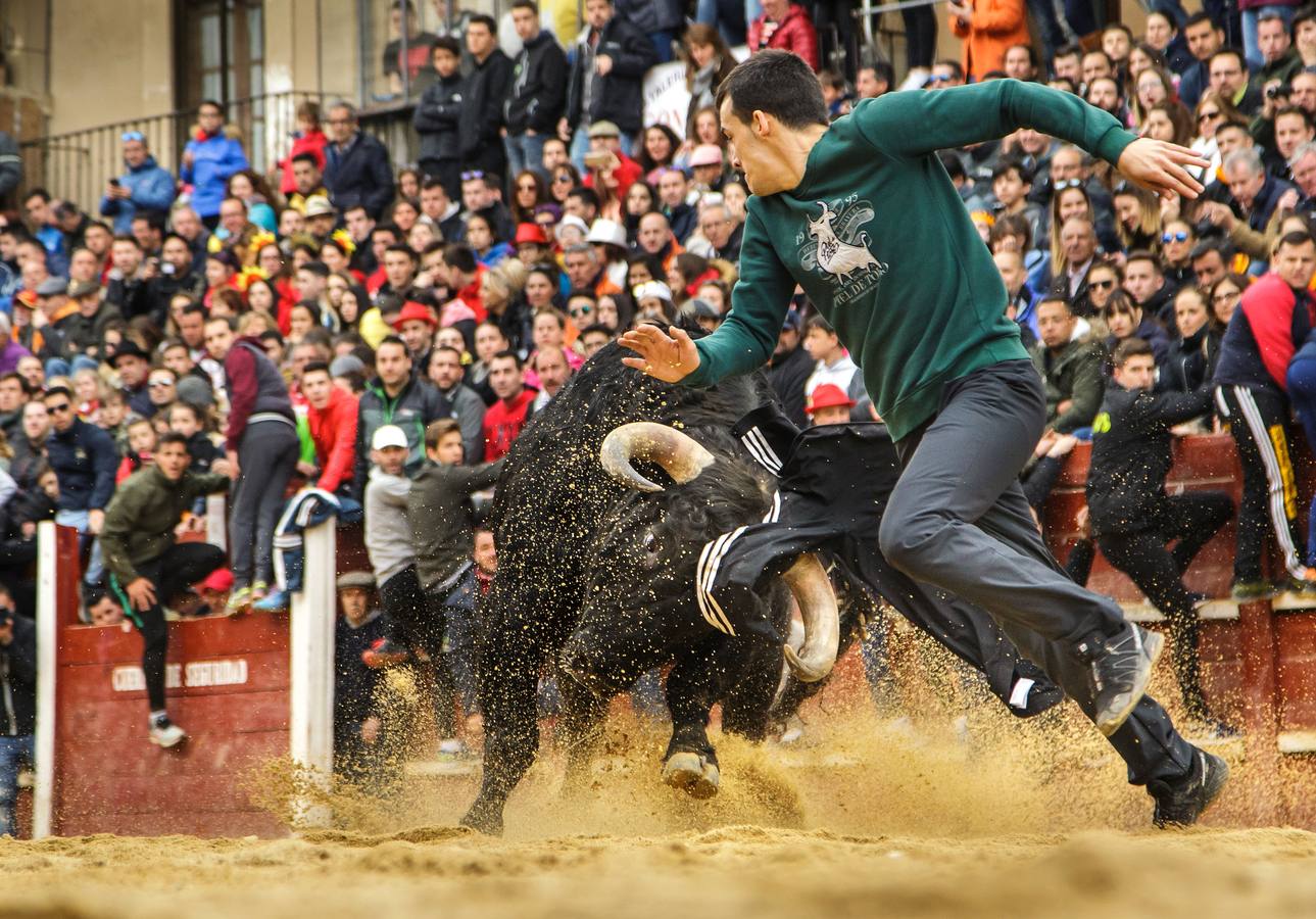 Fotos: Jornada del lunes en el Carnaval del Toro de Ciudad Rodrigo