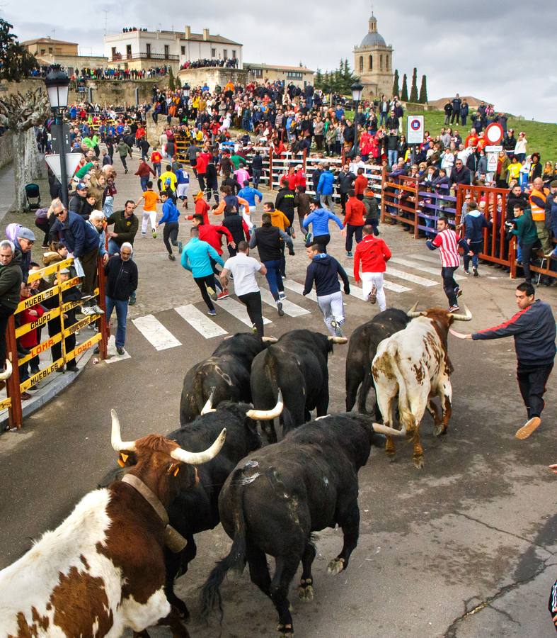 Fotos: Jornada del lunes en el Carnaval del Toro de Ciudad Rodrigo