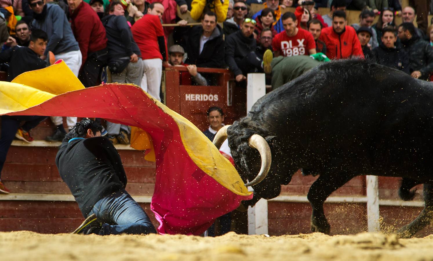 Fotos: Jornada del lunes en el Carnaval del Toro de Ciudad Rodrigo