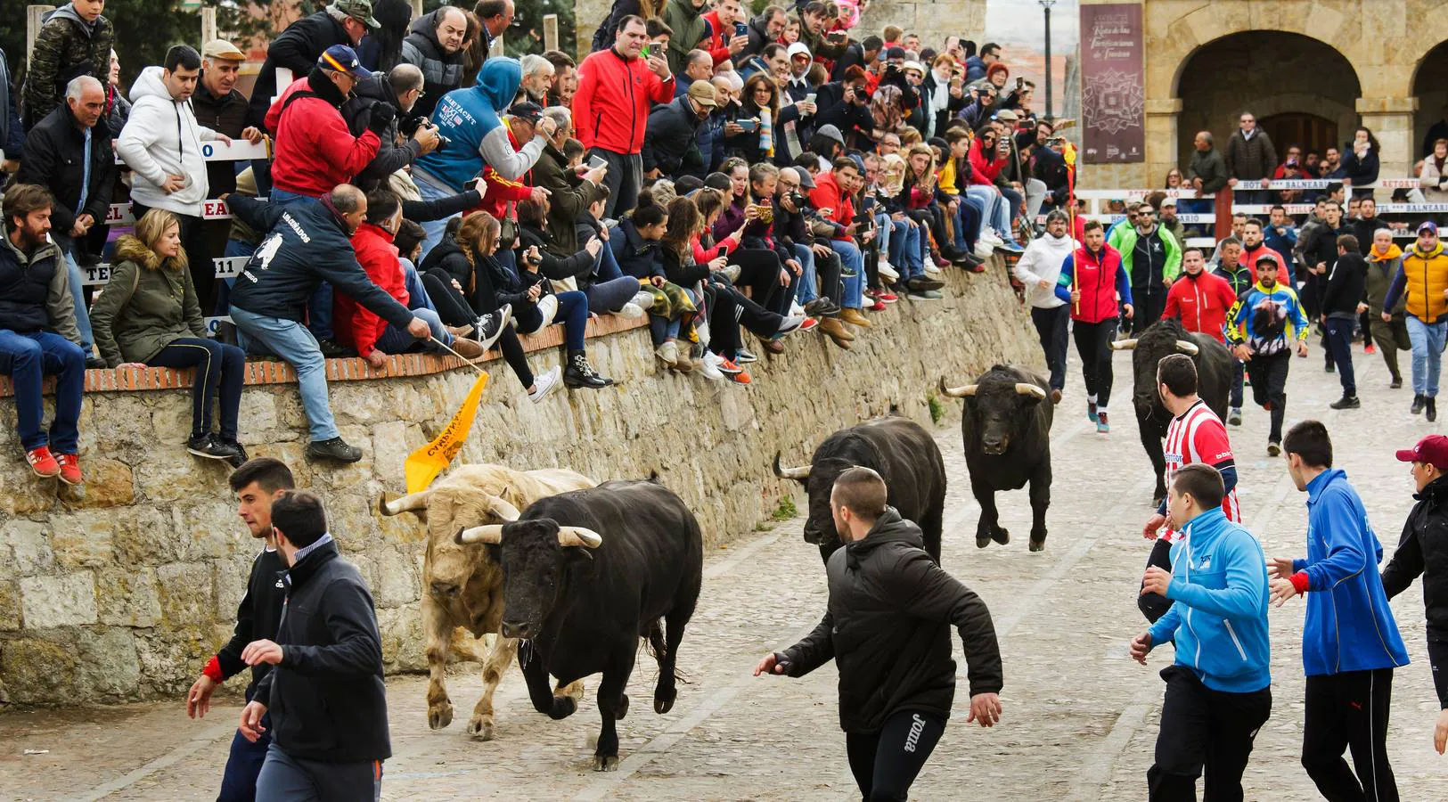 Fotos: Jornada del martes en el Carnaval del Toro de Ciudad Rodrigo (Salamanca)