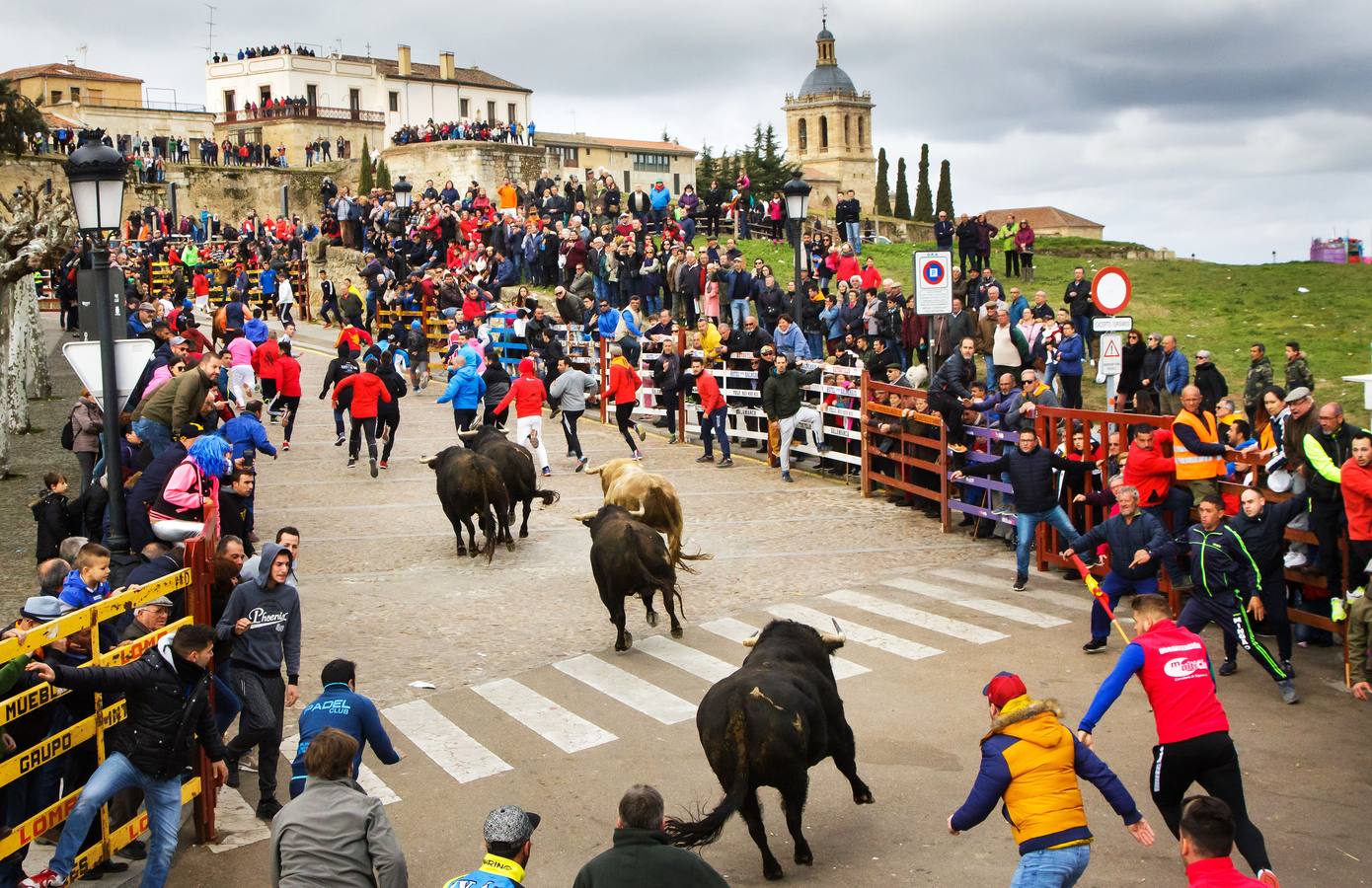 Fotos: Jornada del martes en el Carnaval del Toro de Ciudad Rodrigo (Salamanca)