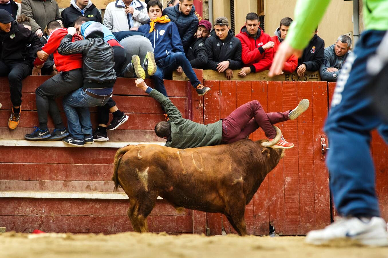 Fotos: Jornada del martes en el Carnaval del Toro de Ciudad Rodrigo (Salamanca)