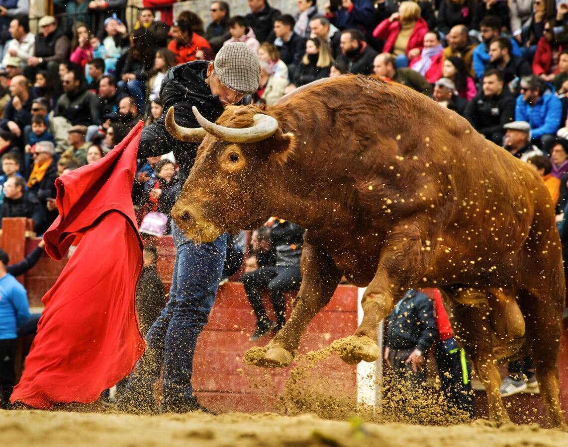 Fotos: Jornada del martes en el Carnaval del Toro de Ciudad Rodrigo (Salamanca)