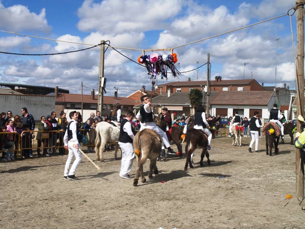 Fotos: Carrera de cintas en burro de los quintos en los carnavales de Pedrajas de San Esteban