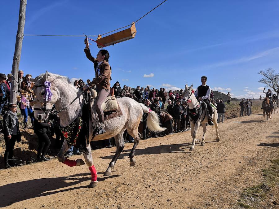 Fotos: Carrera de cintas de los quintos de Torrelobatón