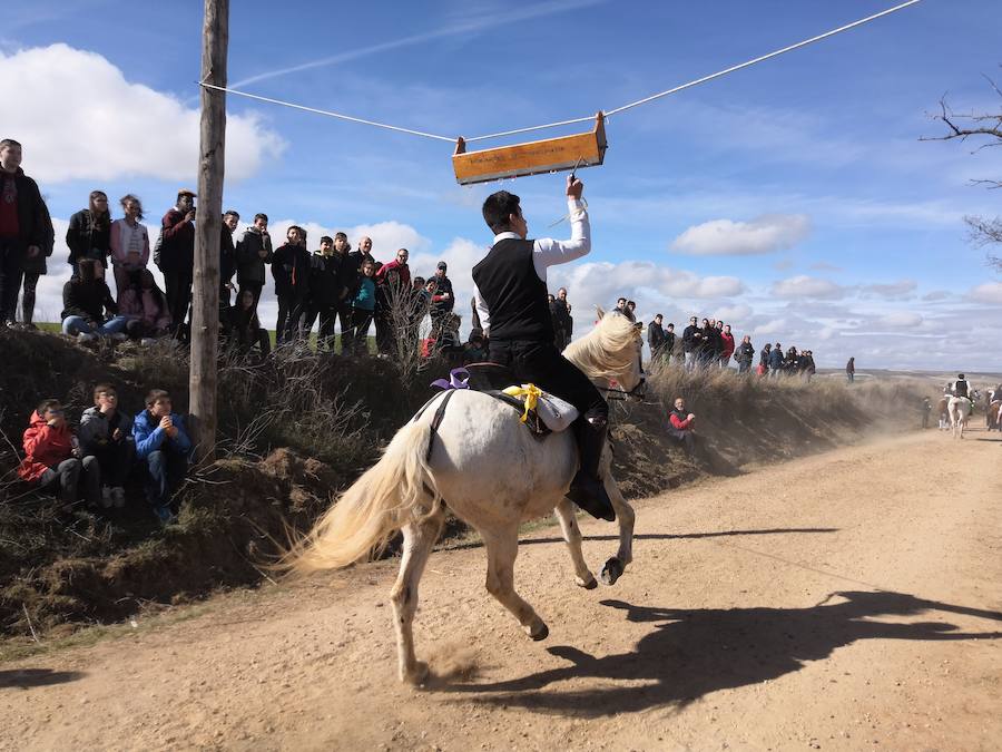 Fotos: Carrera de cintas de los quintos de Torrelobatón