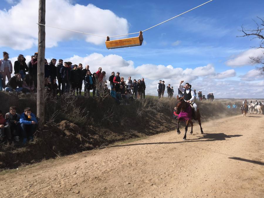 Fotos: Carrera de cintas de los quintos de Torrelobatón