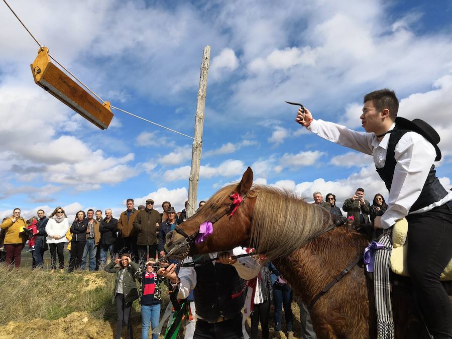 Fotos: Carrera de cintas de los quintos de Torrelobatón