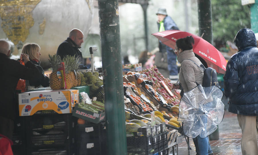 Fotos: Lluvia y viento en Valladolid