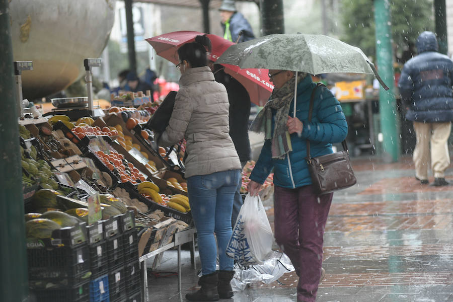Fotos: Lluvia y viento en Valladolid
