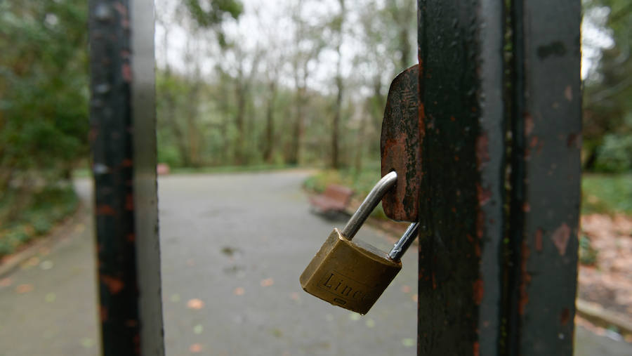Fotos: Lluvia y viento en Valladolid