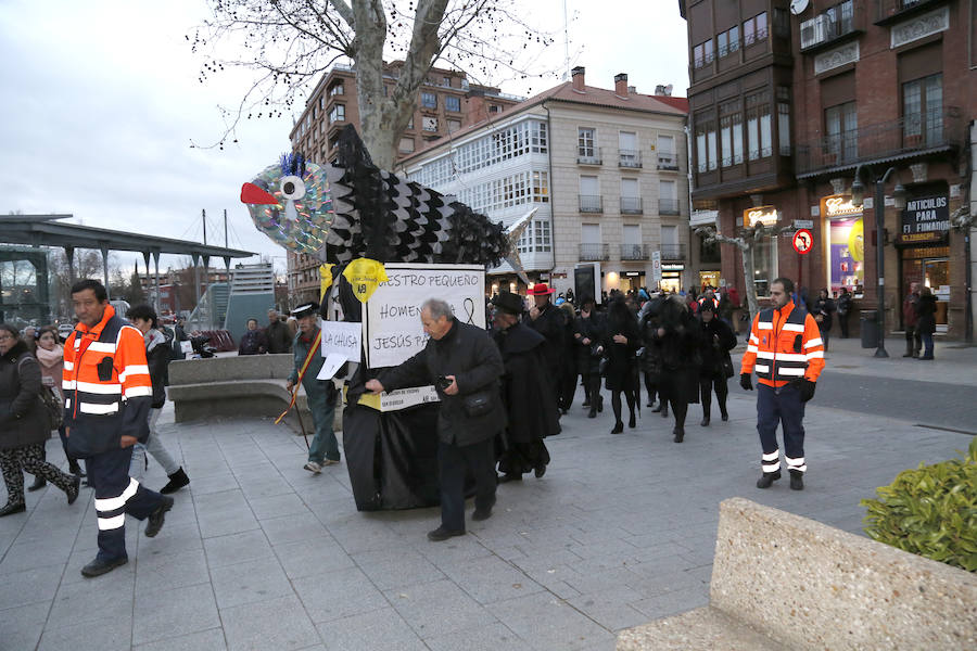 El Entierro de la Sardina de Palencia se convierte en un homenaje a Jesús Paredes