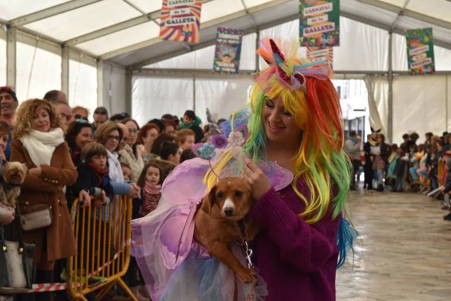 Fotos: Las mascotas de Aguilar también viven el Carnaval