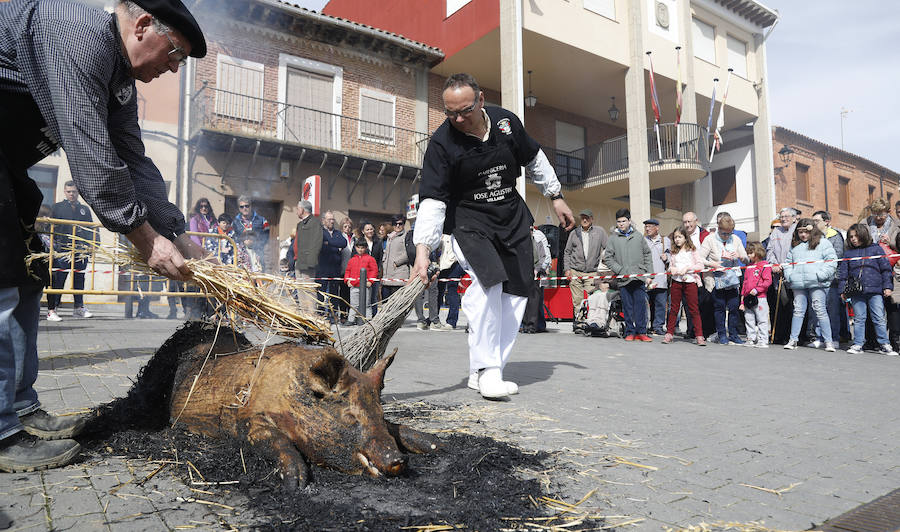 Fotos: Villada celebra su tradicional matanza