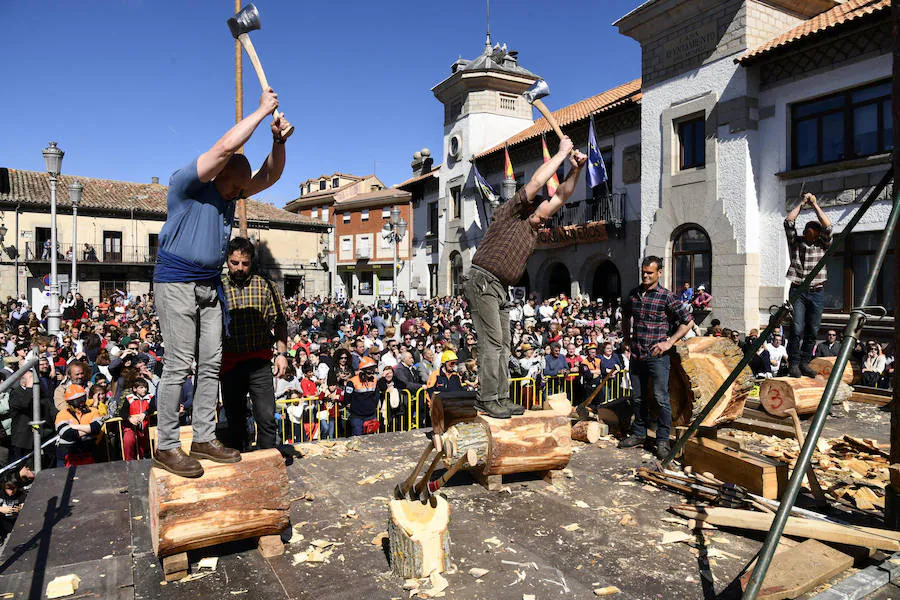 Fotos: Fiesta de los Gabarreros de El Espinar