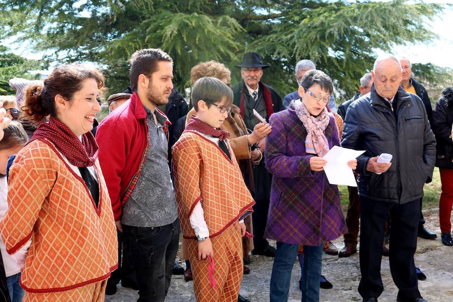 Fotos: Fiesta de Santo Tomás en Villamediana