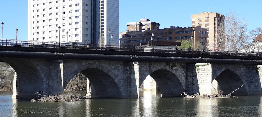 Decenas de troncos permanecen aún acumulados contra los pilares del Puente Mayor después de tres años sin retirarse. 