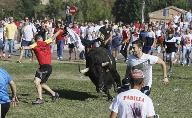 Celebración del Toro de la Vega 2018. 