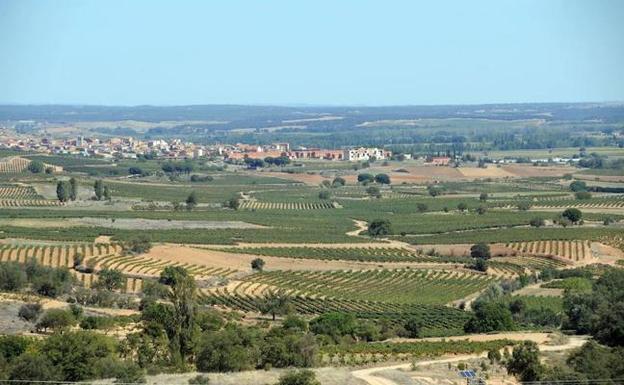 Ribera de Duero a su paso por Burgos.