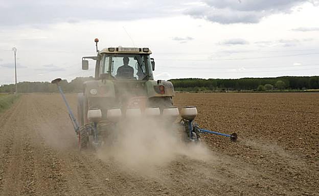 Un tractor en un campo de cultivo. 