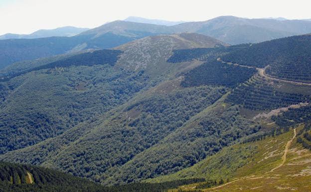 Sierra de la Demanda. 