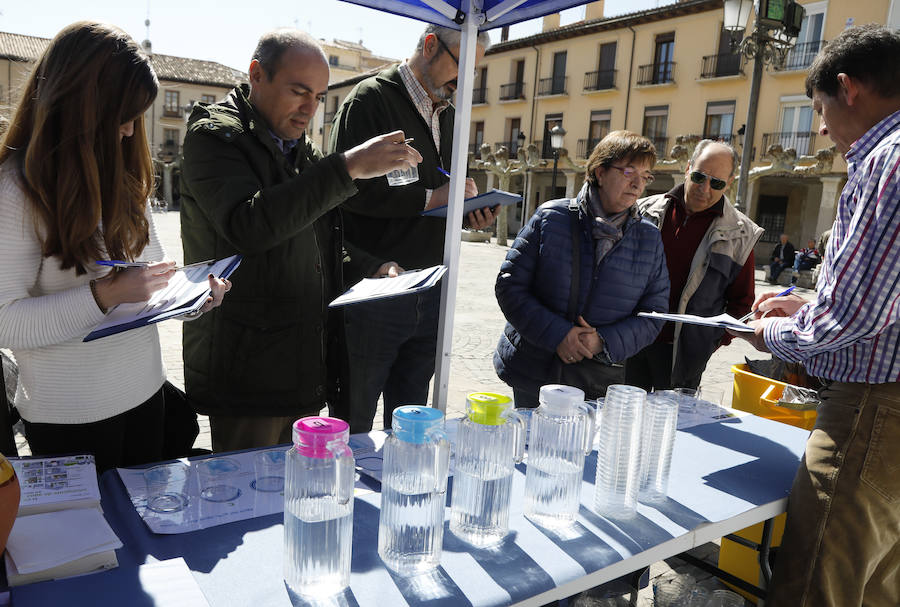 Fotos: Palencia se implica en el Día Mundial del Agua