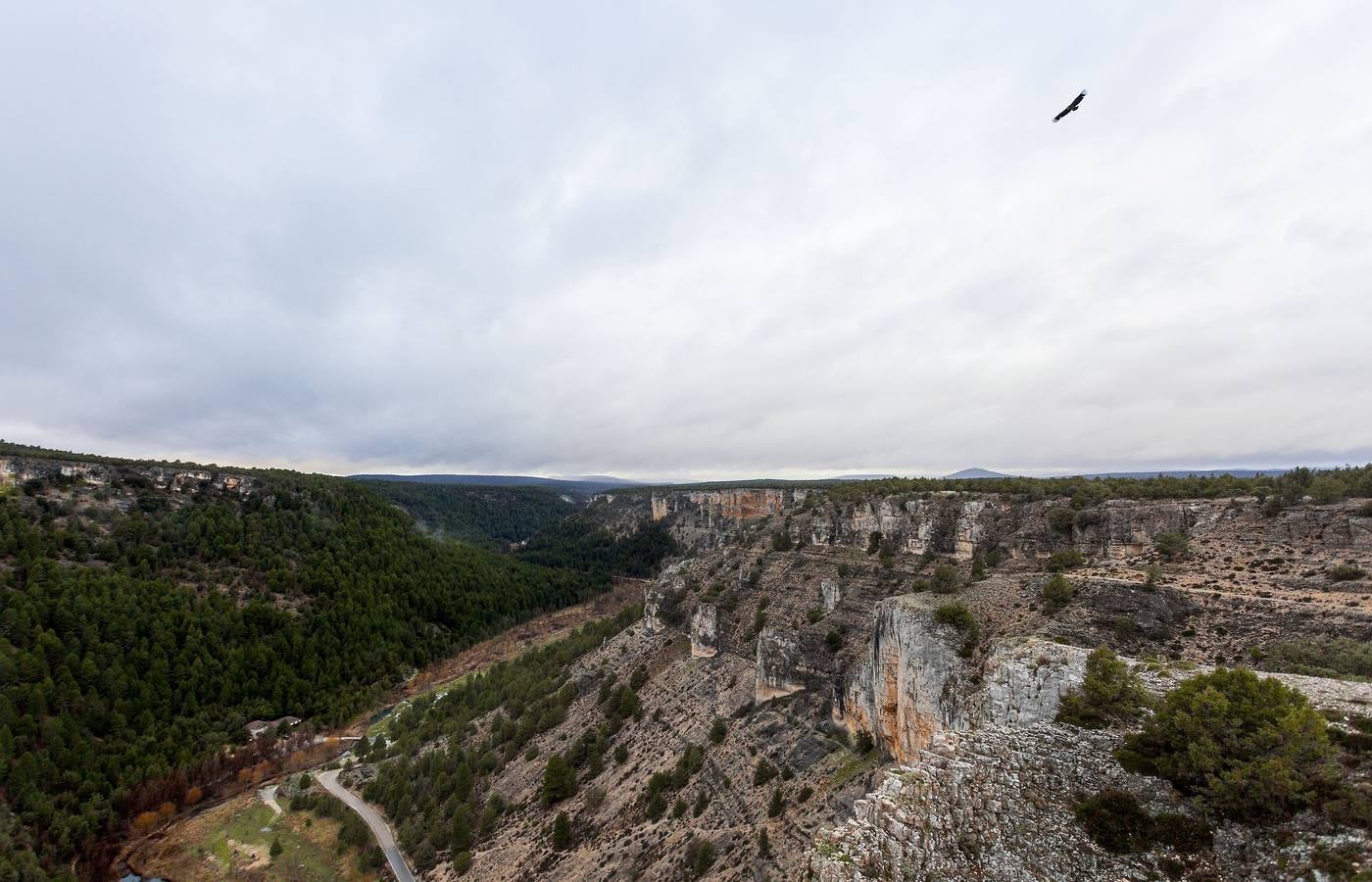 El sabor puro de Soria en un parque natural donde el agua y el viento han esculpido un paisaje espectacular