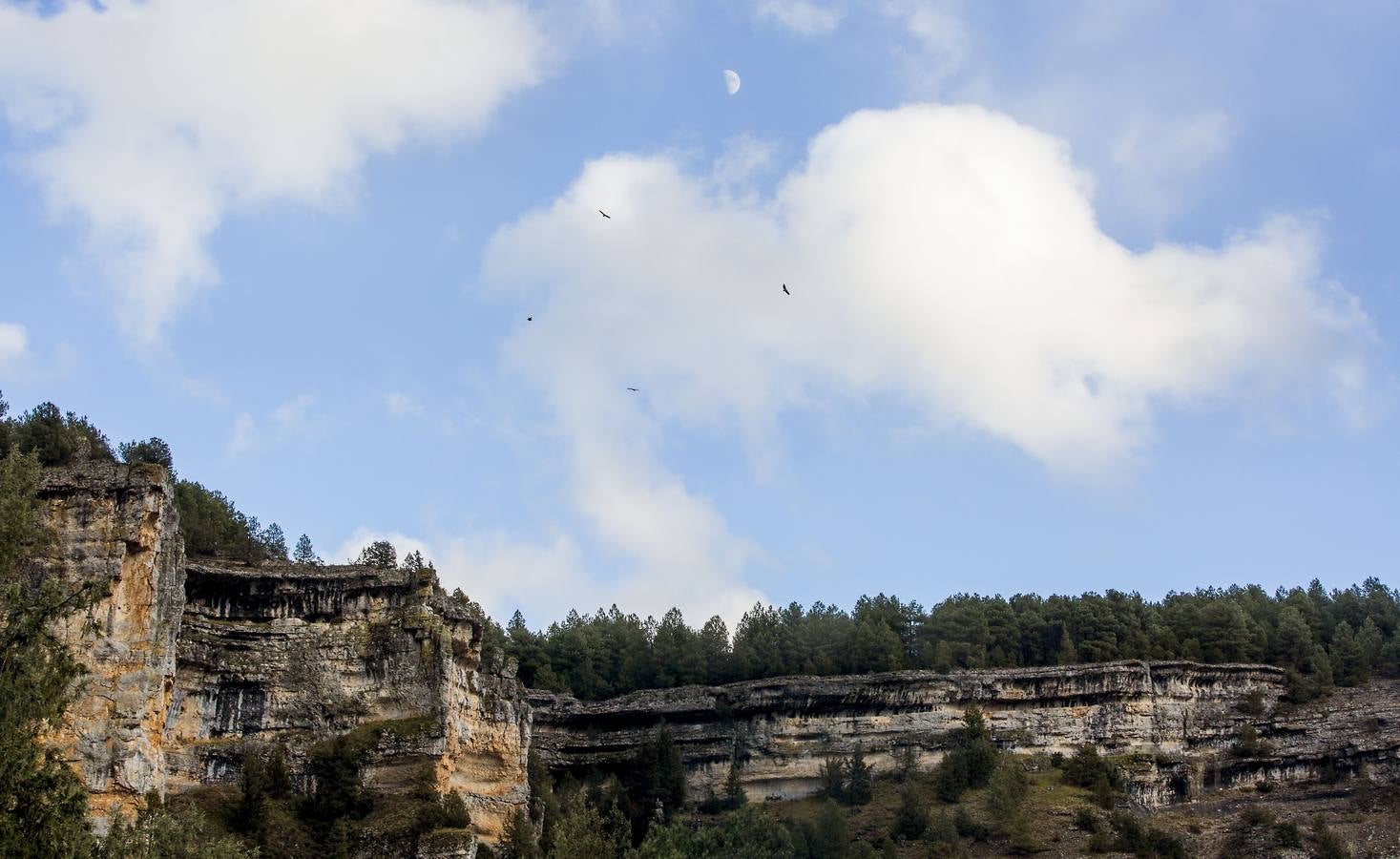 El sabor puro de Soria en un parque natural donde el agua y el viento han esculpido un paisaje espectacular